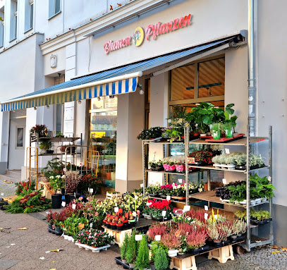 Blumen & Pflanzen