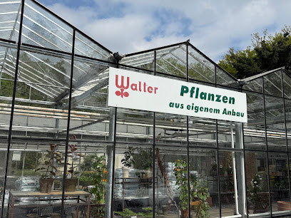 Blumen-Atelier Lauheide Walter