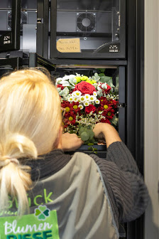 Blumen Risse SB-Automat Münster-Hiltrup