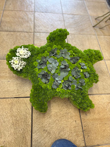Wolbecker Schlossblüte