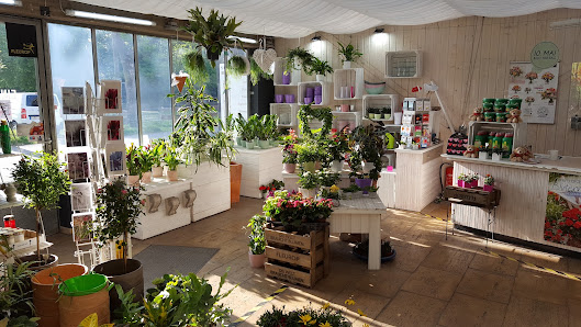 Schumacher Blumen und Gestaltung, Gärtnerei