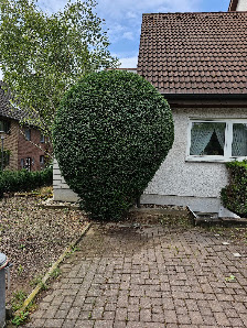 Mr. Green Gartenpflege