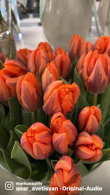 Blumenboutique Und Hof der Sinne