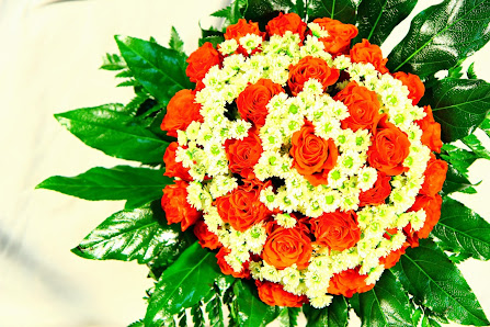 Blumen Flegel / GaFriS GmbH