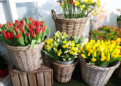 Blumen Elfner GbR, Blumenhaus & Gärtnerei