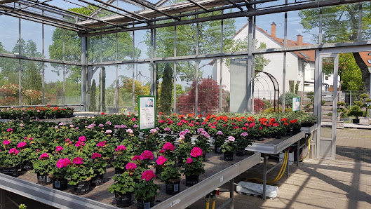 Eicher Floristik & Gartenbau