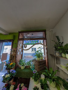 Rainers Gartenparadies Obst Gemüse Pflanzen Floristik Lieferservice
