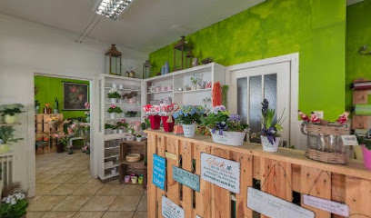 Rainers Gartenparadies Obst Gemüse Pflanzen Floristik Lieferservice