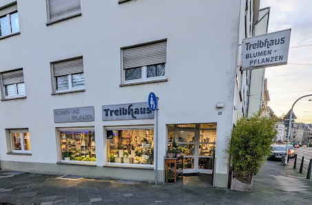 Treibhaus