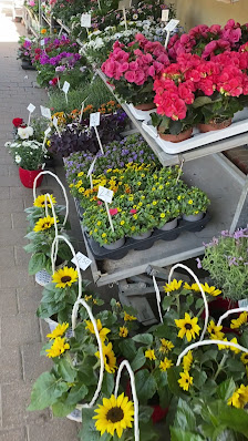 Blumen Messow