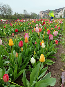 Blumen zum Selberschneiden