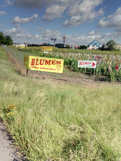 Blumen selbst pflücken
