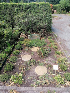 Veckenstedt GmbH Friedhofsgärtnerei