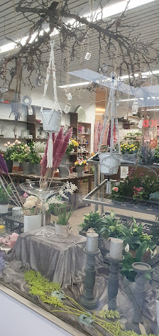 Orkide Blumen & mehr
