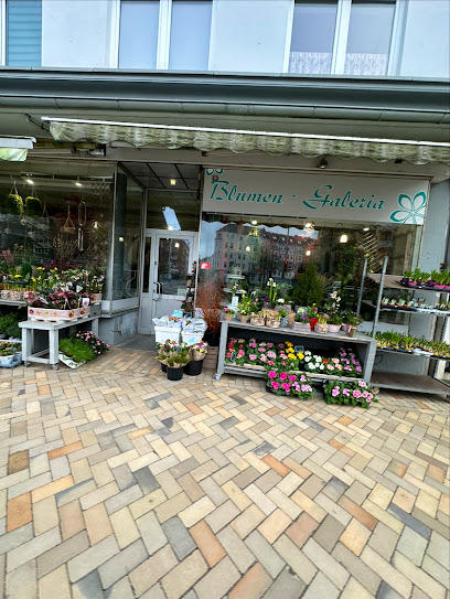 Blumen- Galeria