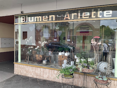 Blumen Arlette