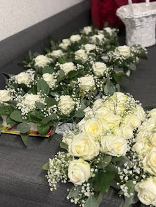 Blumen 99 - Blumen & Pflanzen