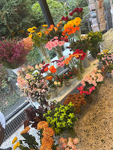 Blumen Mariflor