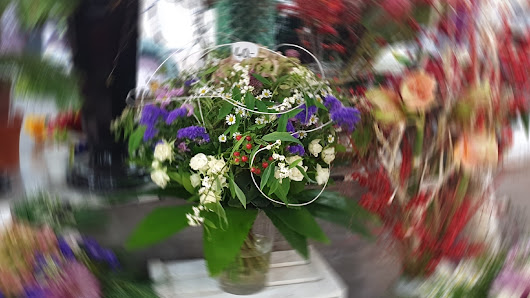 Blumen am Zehlendorfer Bahnhof
