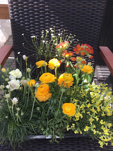 Blumen Reinhard