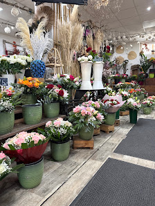 Blumen Deniz