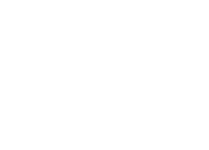Philodendron Gartenplanung & Gartengestaltung