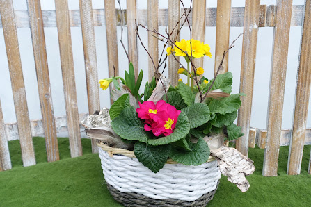 Pflanzenwelt Dienst - Gartencenter