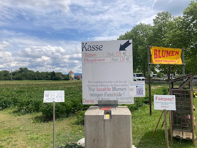 Blumenfeld zum Selberpflücken