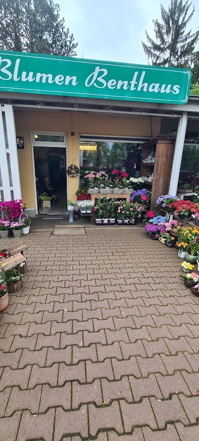 Blumen Benthaus
