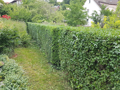 Scholz Gartenservice