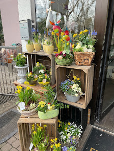 Blumen Weigand