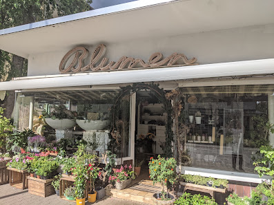 Blumen Dornröschen am Dornbusch