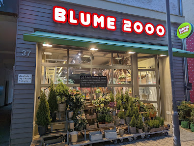 BLUME 2000