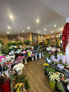 Blumen-Diva GmbH