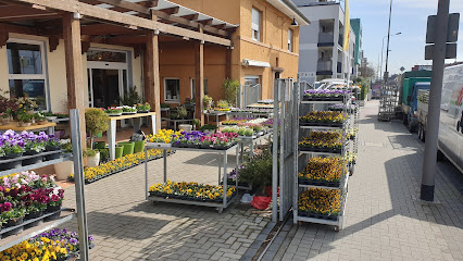 Oberursel (Taunus)