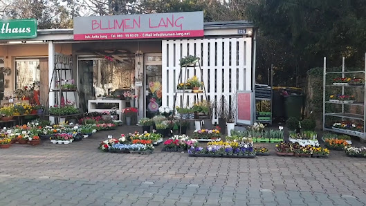 Blumen Lang