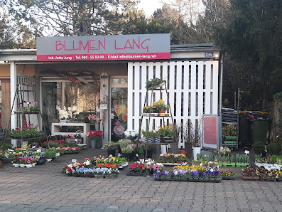 Blumen Lang