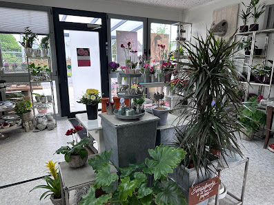 Gärtnerei Grünewald