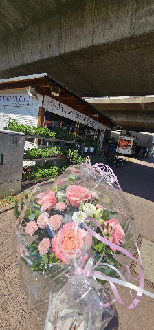 Aylin's Blumenecke