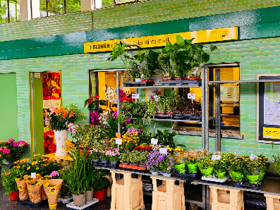 Blumen Pflanzen Dekorationsartikel