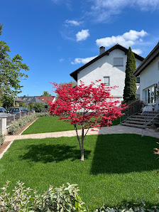 Ahorn & Linde Garten- und Landschaftsbau