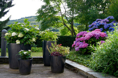 Prellberg Gartengestaltung GmbH