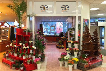 Blumen Element