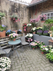 Blumen Scherer