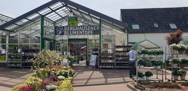 Berghausener Blumentopf GmbH & Co. KG I Blumengeschäft I Blumen