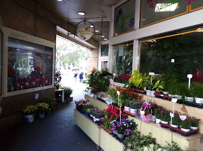 Blumen Kakales
