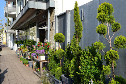 Blumen Bachmann