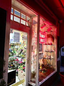 Blumen Ewert