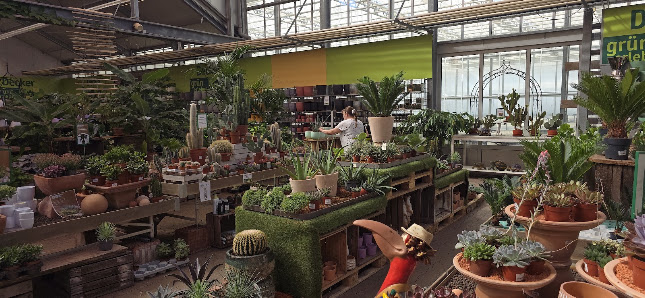 Blumen Decker und Bio-Markt