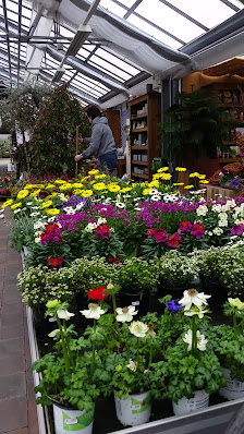 Blumen Kraft